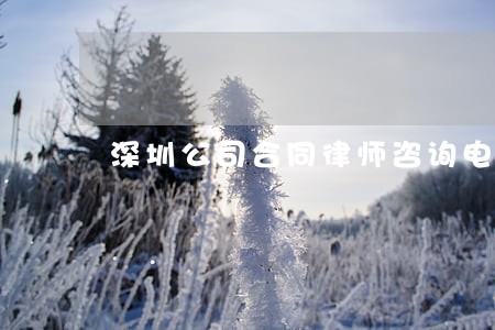 深圳公司合同律师咨询电话 深圳公司合同律师咨询电话