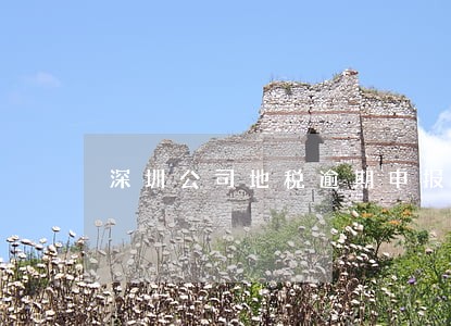 深圳公司地税逾期申报吗 深圳公司地税逾期申报吗