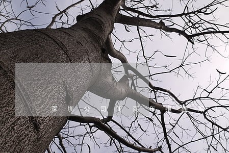 深圳公司工商年报逾期2天 深圳公司工商年报逾期2天