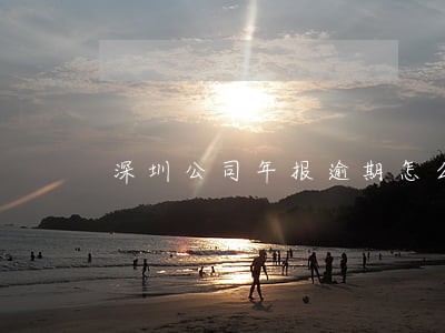 深圳公司年报逾期怎么办 深圳公司年报逾期怎么办