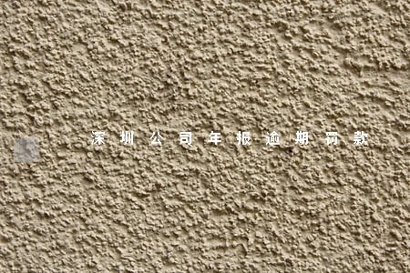 深圳公司年报逾期罚款
