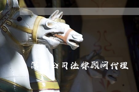 深圳公司法律顾问代理 深圳公司法律顾问代理