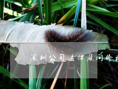 深圳公司法律顾问价格 深圳公司法律顾问价格