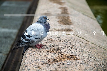 深圳公司税务逾期三个月