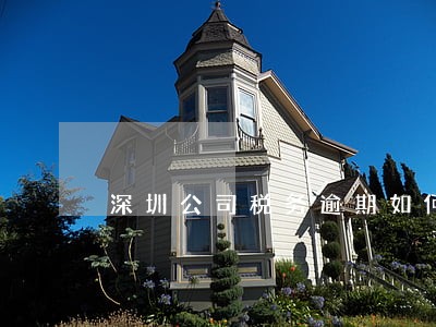 深圳公司税务逾期如何处理 深圳公司税务逾期如何处理