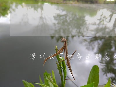 深圳公司税务逾期怎么办呢