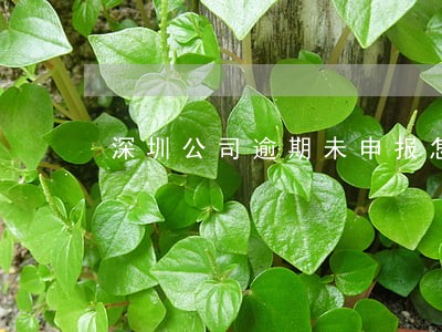 深圳公司逾期未申报怎么处理 深圳公司逾期未申报怎么处理