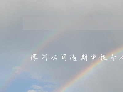 深圳公司逾期申报个人所得税 深圳公司逾期申报个人所得税
