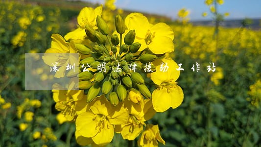 深圳公明法律援助工作站 深圳公明法律援助工作站