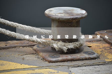 深圳公积金贷款逾期怎么还