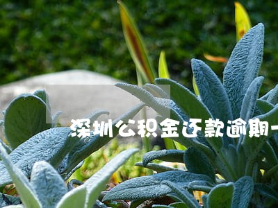 深圳公积金还款逾期一天 深圳公积金还款逾期一天