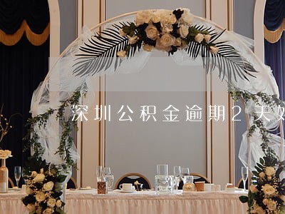 深圳公积金逾期2天如何主动还款 深圳公积金逾期2天如何主动还款