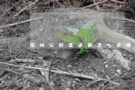 深圳公积金逾期怎么处理