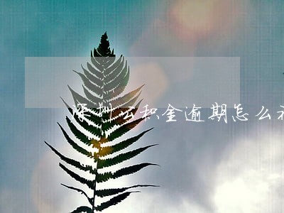 深圳公积金逾期怎么补交 深圳公积金逾期怎么补交