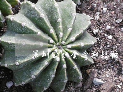 深圳公积金逾期短信 深圳公积金逾期短信