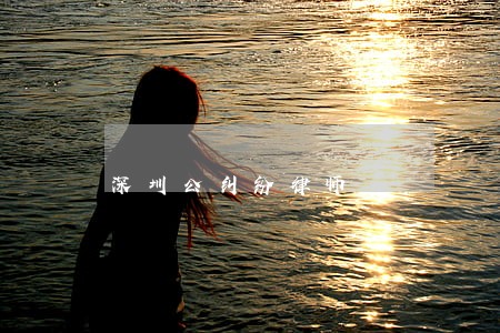 深圳公纠纷律师 深圳公纠纷律师