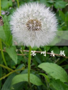 深圳关联企业申报表逾期 深圳关联企业申报表逾期