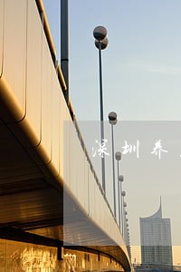 深圳养土狗违法吗 深圳养土狗违法吗