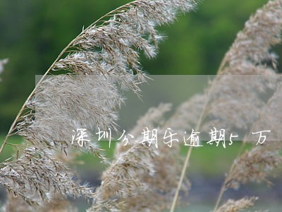深圳分期乐逾期5万 深圳分期乐逾期5万