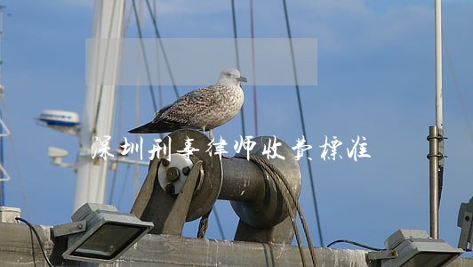 深圳刑事律师收费标准 深圳刑事律师收费标准