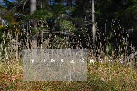 深圳刑事法律顾问排名 深圳刑事法律顾问排名