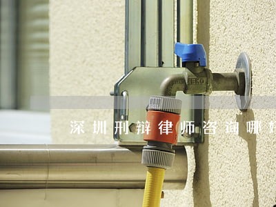深圳刑辩律师咨询哪好 深圳刑辩律师咨询哪好