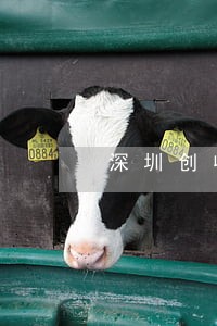 深圳创收最高的律师