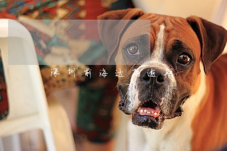 深圳前海达飞逾期 深圳前海达飞逾期