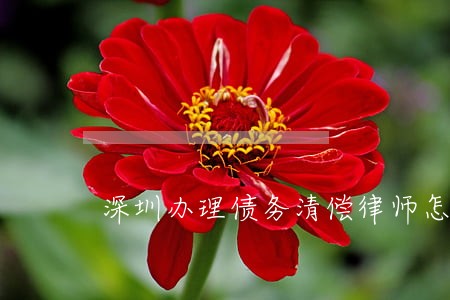 深圳办理债务清偿律师怎么收费 深圳办理债务清偿律师怎么收费