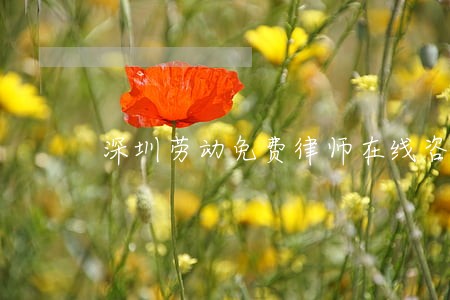深圳劳动免费律师在线咨询 深圳劳动免费律师在线咨询