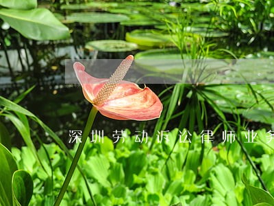 深圳劳动诉讼律师业务 深圳劳动诉讼律师业务