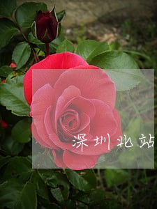 深圳北站违法建筑 深圳北站违法建筑