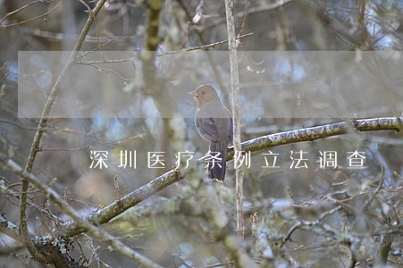 深圳医疗条例立法调查