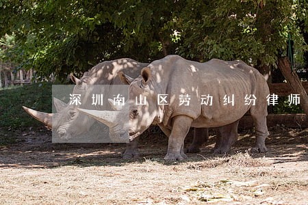 深圳南山区劳动纠纷律师费用多少 深圳南山区劳动纠纷律师费用多少