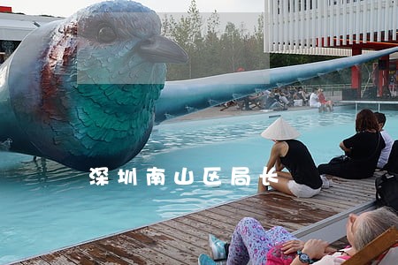 深圳南山区局长 深圳南山区局长