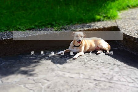深圳南山区工伤律师