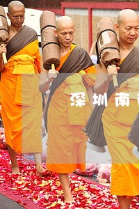 深圳南布居委会取水权纠纷律师