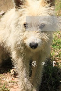 深圳卡片逾期咨询 深圳卡片逾期咨询