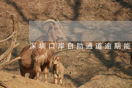 深圳口岸自助通道逾期能过关吗 深圳口岸自助通道逾期能过关吗