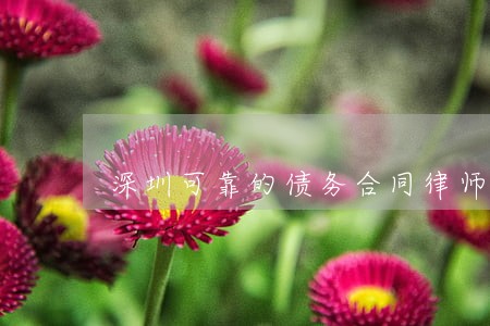 深圳可靠的债务合同律师排名 深圳可靠的债务合同律师排名