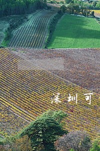 深圳可靠的民事债务纠纷律师网站 深圳可靠的民事债务纠纷律师网站
