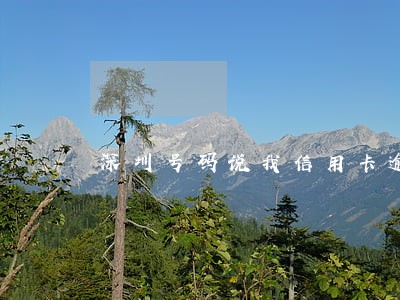 深圳号码说我信用卡逾期 深圳号码说我信用卡逾期