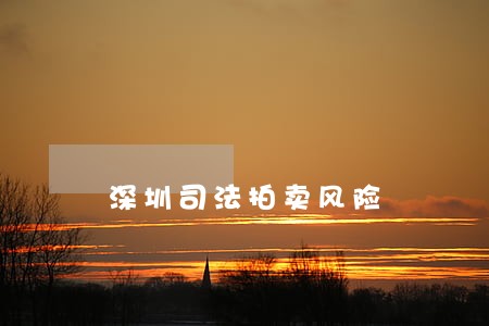 深圳司法拍卖风险 深圳司法拍卖风险