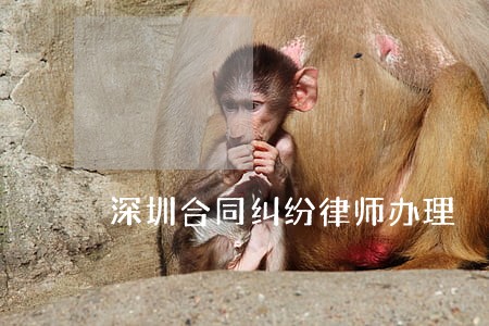 深圳合同纠纷律师办理 深圳合同纠纷律师办理