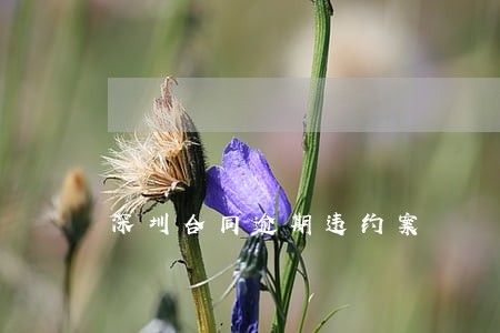 深圳合同逾期违约案 深圳合同逾期违约案