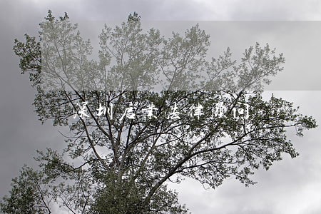 深圳启业法律顾问 深圳启业法律顾问