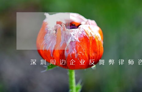 深圳周边企业反舞弊律师咨询电话 深圳周边企业反舞弊律师咨询电话