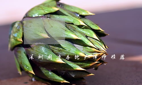 深圳周边房地产律师推荐 深圳周边房地产律师推荐