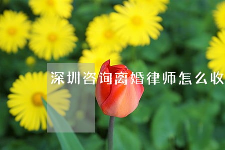 深圳咨询离婚律师怎么收费