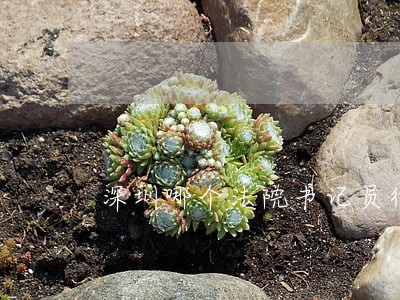 深圳哪个法院书记员待遇好